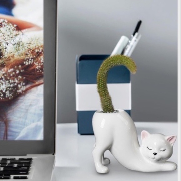 Cute Succulent Pots, Indoor Succulent Vase, Animal-Shaped Pot, Mini - Picture 5 of 7